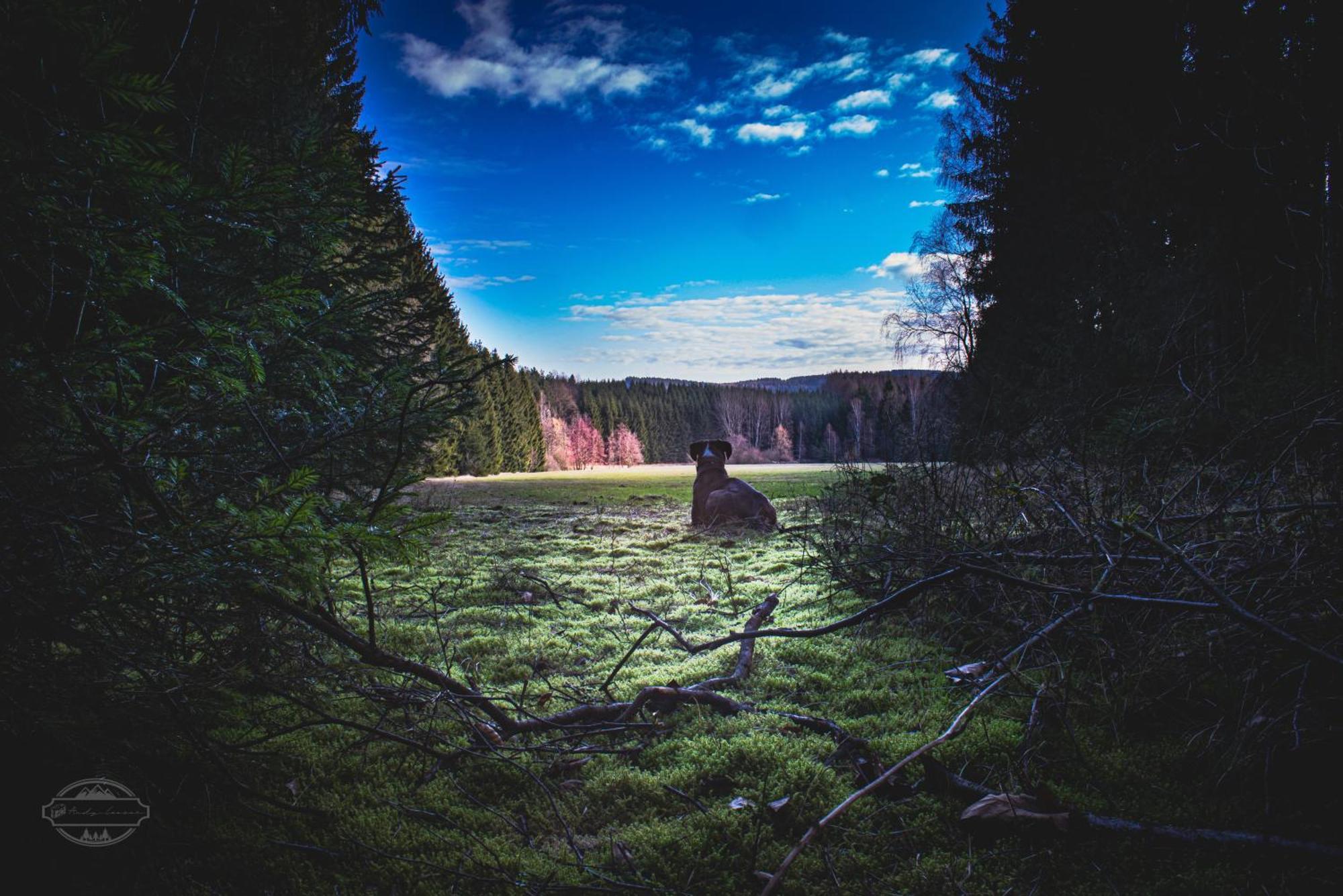 Fewo An Der Zwaens Stollberg/Erzgeb. Extérieur photo